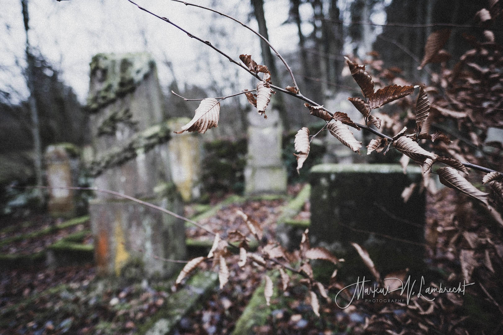 Sievershausen (Dassel), Jüdischer Friedhof